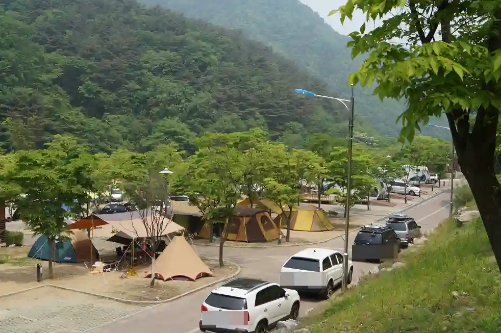치악산 구룡야영장 텐트 친 모습