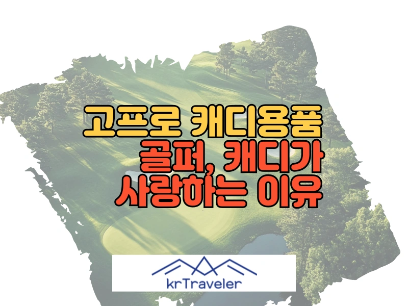 고프로 캐디용품 대표 이미지