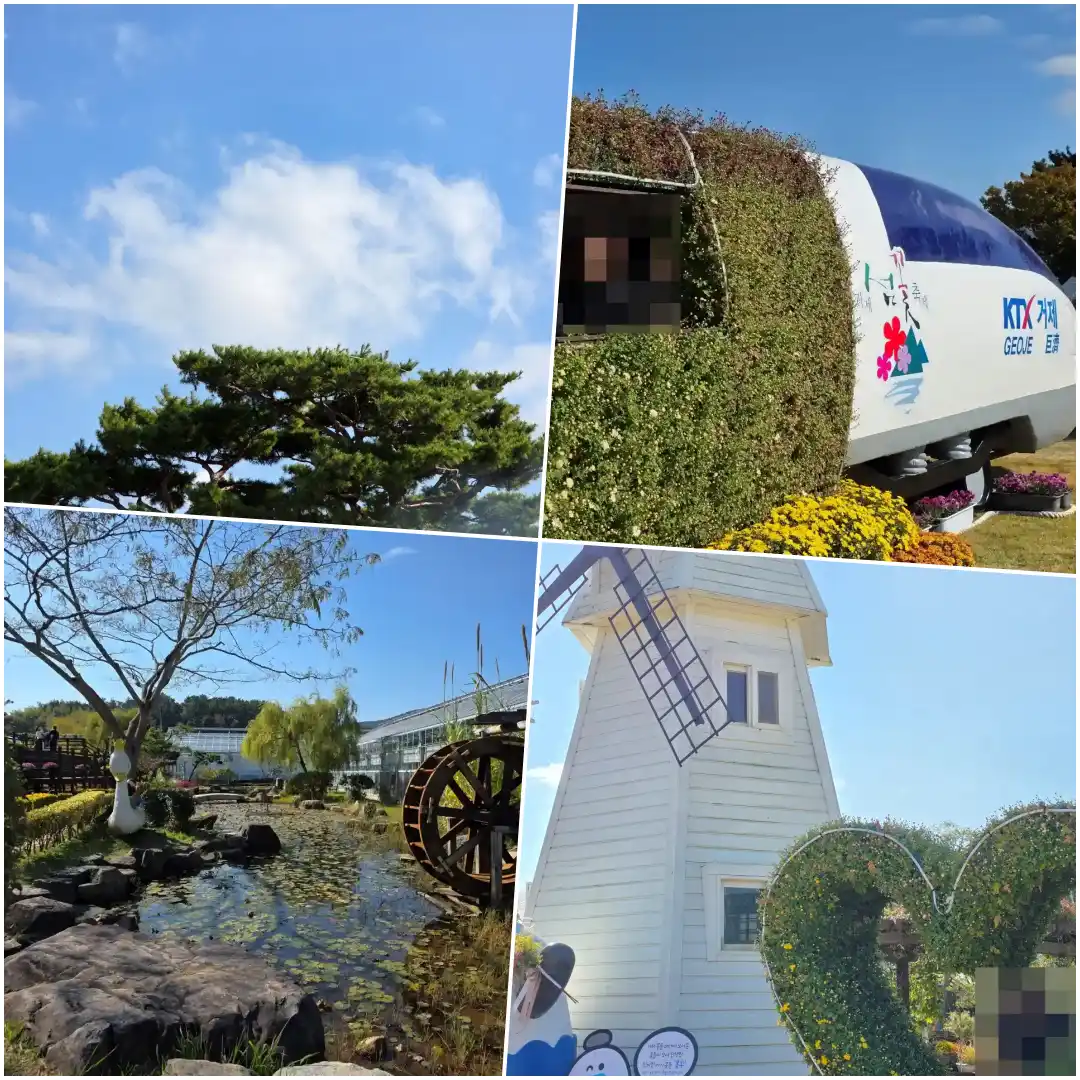 거제섬꽃축제 후기 대표 이미지